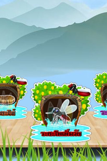 สื่อการเรียนการสอนลองโฟม ชุด วงจรชีวิต ยุง/วรา