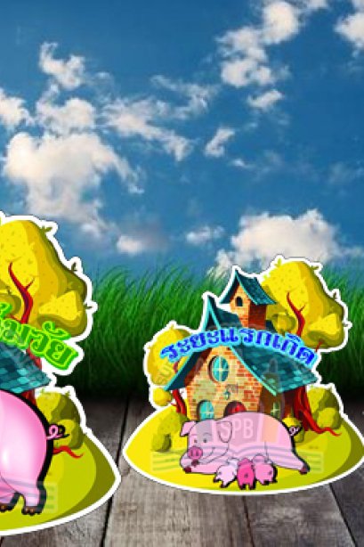 สื่อการเรียนการสอนลองโฟม ชุด วงจรชีวิต หมู/วรา