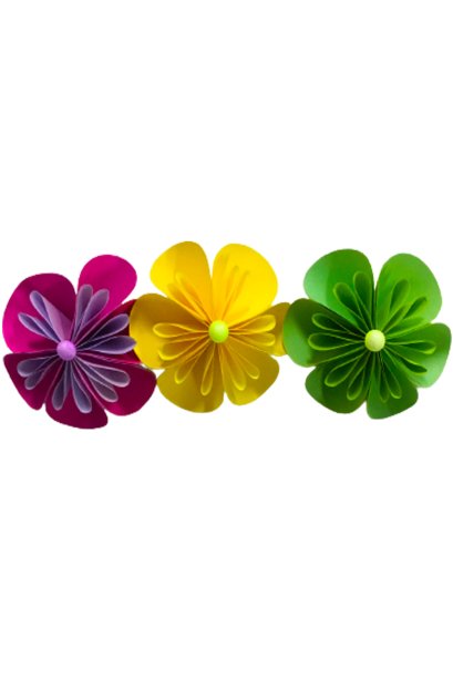 มุมซากุระใหญ่ 3 ดอก