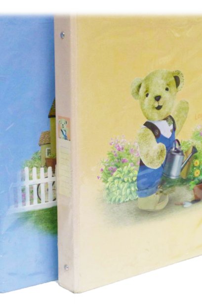 แฟ้มโชว์ 3 ห่วง A4  Master Art