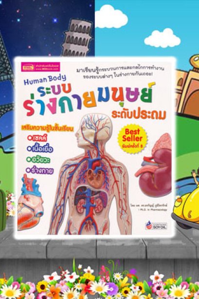 รรบบร่างกายมนุษย์ ระดับปฐม