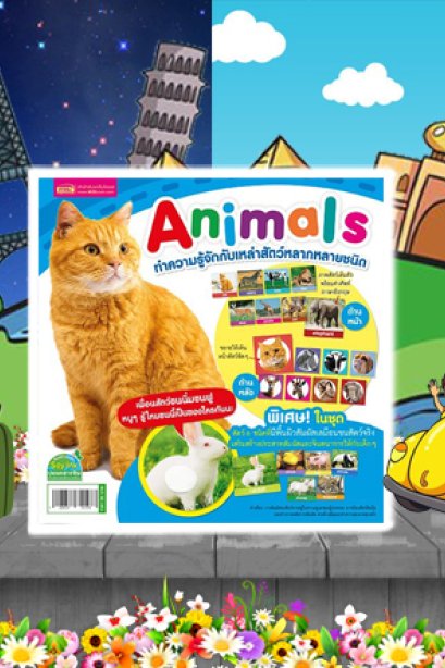 การ์ด Animal เพื่อนสัตว์ขนนิ่ม ขนฟู