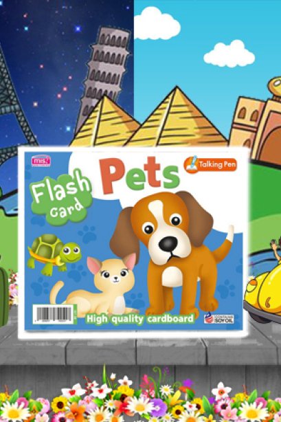 Flash cards pets