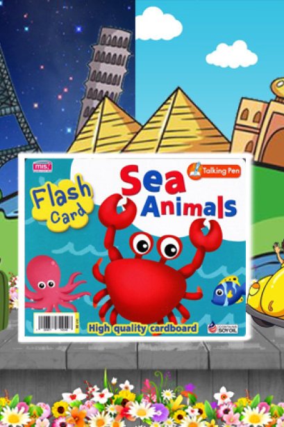 Fiash cards sea animals