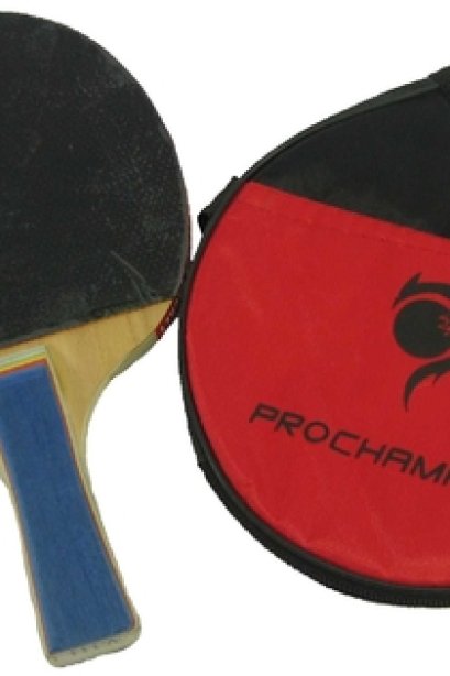 ไม้ปิงปอง Prochampion No.111