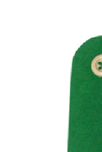 อินทธนู ลว.เขียวแกนใหม่