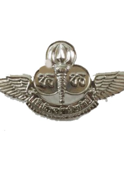 เข็มติดอก เนตรนารี เงิน