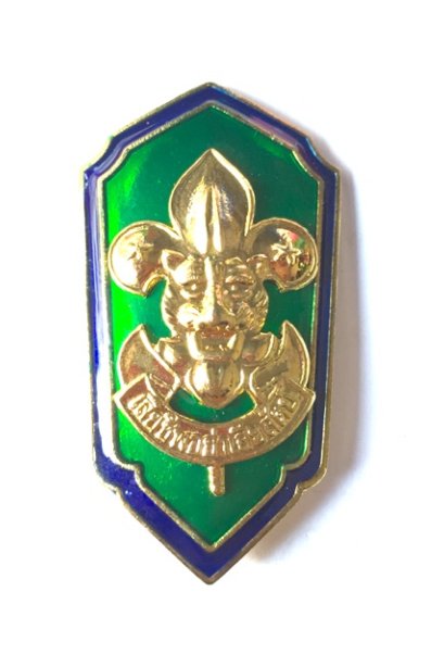 เหรียญเรซิ่น ผบ.ลว