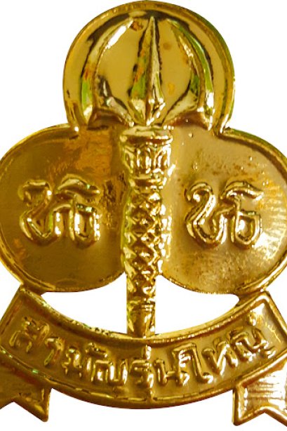 เข็มติดอกเนตรนารี