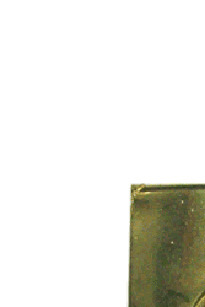 หัวเข็มจัดเนตรนารี