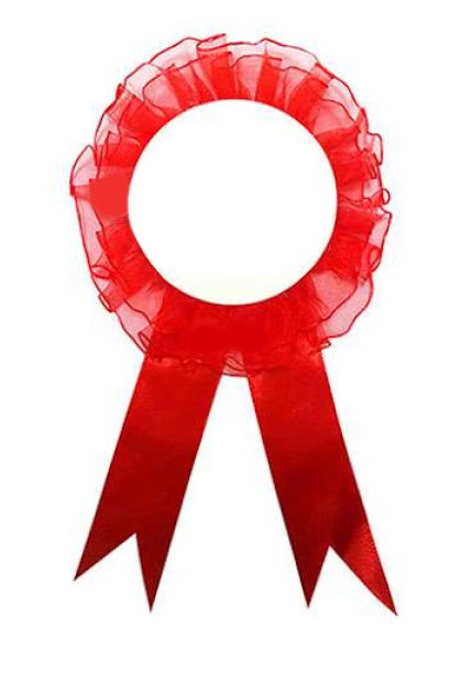 โบว์กรรมการ