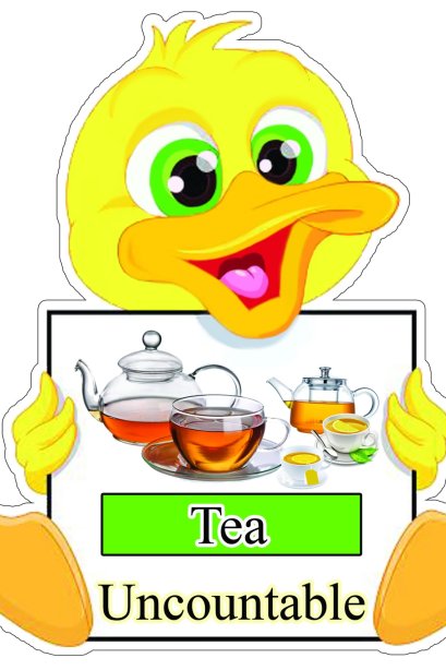 สื่อลองโฟม เป็ด นามนับได้ - นามนับไม่ได้ ขนาด 30 ซม./วรา