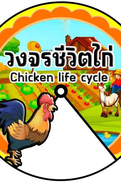 วงล้อ วงจรชีวิตไก่ ขนาด 20 ซม.+ขาตั้ง/วรา