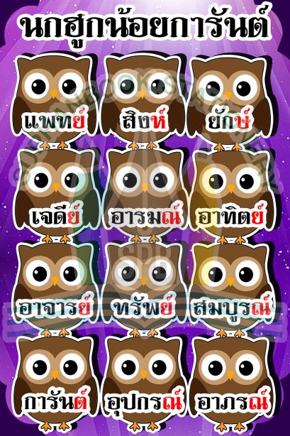 สื่อ A3 นกฮูกน้อยการันต์/วรา