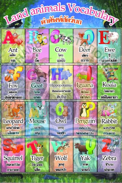 สื่อ A3 คำศัพท์สัตว์ในรูปแบบต่างๆ/วรา