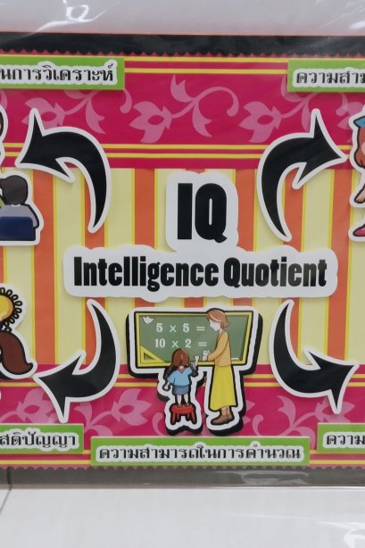 งานสื่อ handmade IQ lntelligence