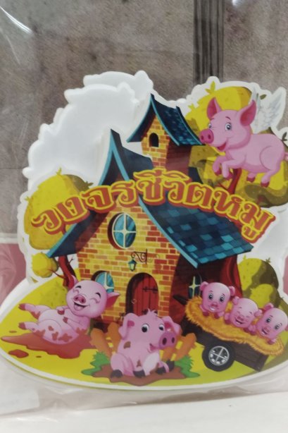 งานสื่อ ชุดเซ็ตจัดบอร์ด วงจรชีวิตหมู 5 แผ่น
