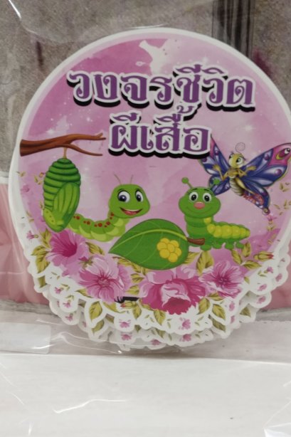 งานสื่อ ชุดเซ็ตจัดบอร์ด วงจรชีวิตผีเสื้อ 6 แผ่น