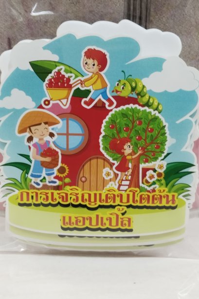 งานสื่อ ชุดเซ็ตจัดบอร์ด การเจริญเติบโตต้นแอปเปิ้ล