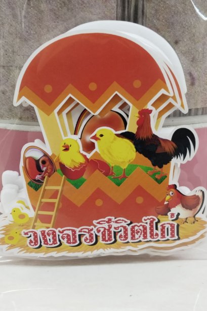 งานสื่อ ชุดเซ็ตจัดบอร์ด วงจรชีวิตไก่ 6 แผ่น