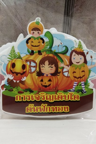งานสื่อ ชุดเซ็ตจัดบอร์ด การเจริญเติบโตต้นฟักทอง