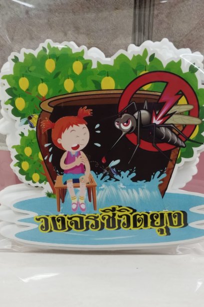 งานสื่อ ชุดเซ็ตจัดบอร์ด วงจรชีวิตยุง