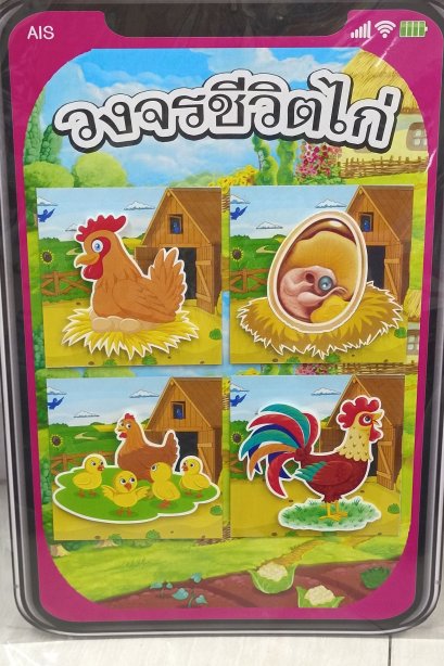 สื่อ i-phone วงจรชีวิต ไก่