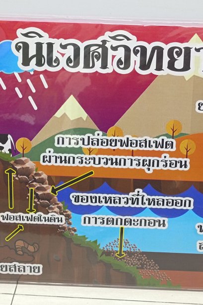 งานสื่อ handmade นิเวศวิทยา