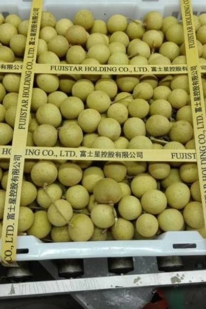 Fresh Longan