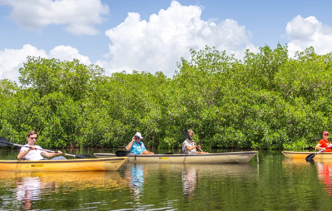 UNSEEN ANDAMAN TRAVEL UNSEEN ANDAMAN TRAVEL