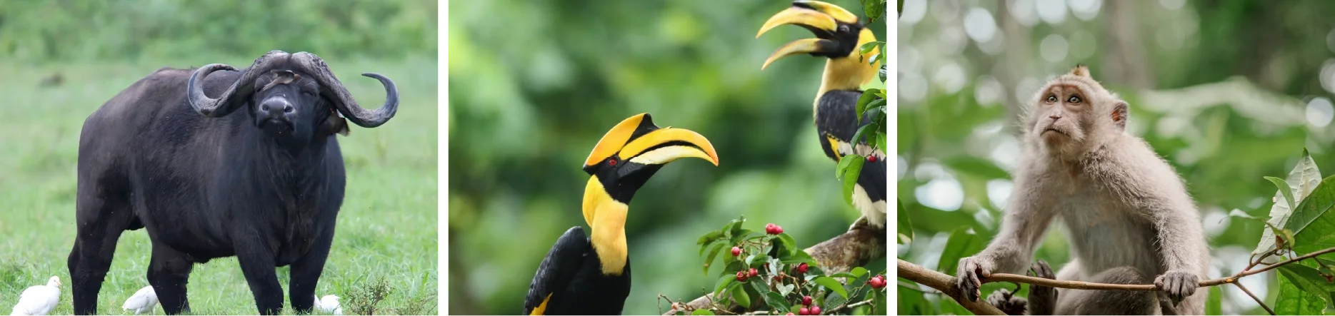 UNSEEN ANDAMAN TRAVEL UNSEEN ANDAMAN TRAVEL