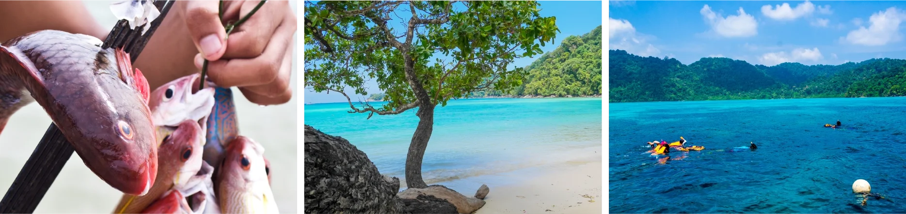 UNSEEN ANDAMAN TRAVEL UNSEEN ANDAMAN TRAVEL