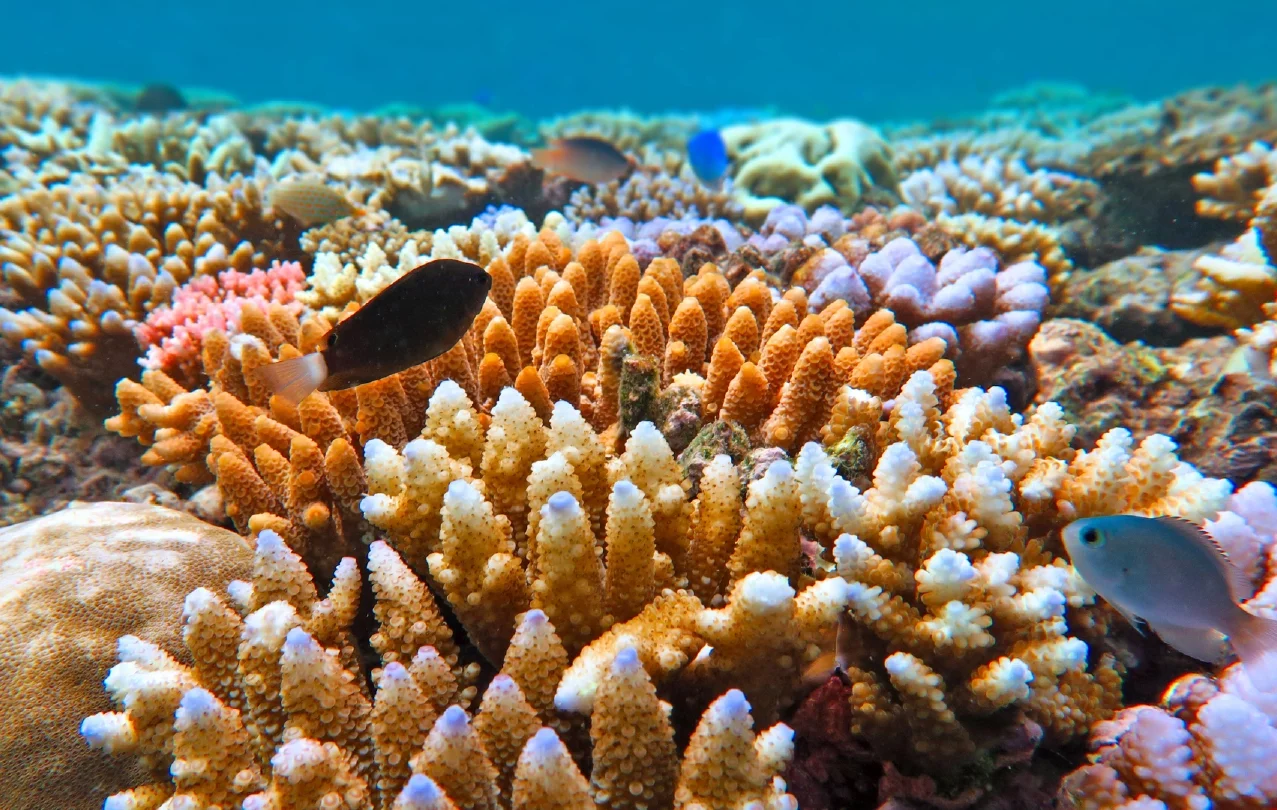 UNSEEN ANDAMAN TRAVEL UNSEEN ANDAMAN TRAVEL