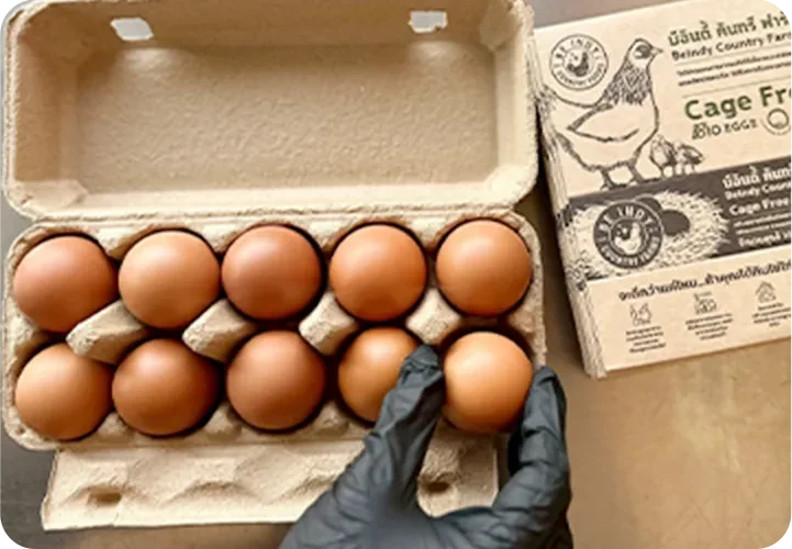 การให้ความสำคัญกับการบริหารข้อมูล อนามัยของผลผลิตและบรรจุภัณฑ์ การให้ความสำคัญกับการบริหารข้อมูล อนามัยของผลผลิตและบรรจุภัณฑ์