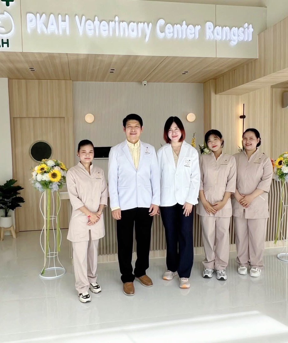 ดูแลรักษาโรคเรื้อรังและโรคซับซ้อนของสัตว์เลี้ยงด้วยทีมสัตวแพทย์ผู้มีประสบการณ์ พร้อมเครื่องมือทางการแพทย์ทันสมัย เพื่อให้สัตว์เลี้ยงของคุณได้รับการดูแลอย่างดี ศูนย์อายุรกรรมสุนัขแมว มีหน้าที่หลักในการดูแลรักษาสัตว์ป่วยที่มีอาการเจ็บป่วยแบบเฉียบพลันและเรื้ ดูแลรักษาโรคเรื้อรังและโรคซับซ้อนของสัตว์เลี้ยงด้วยทีมสัตวแพทย์ผู้มีประสบการณ์ พร้อมเครื่องมือทางการแพทย์ทันสมัย เพื่อให้สัตว์เลี้ยงของคุณได้รับการดูแลอย่างดี ศูนย์อายุรกรรมสุนัขแมว มีหน้าที่หลักในการดูแลรักษาสัตว์ป่วยที่มีอาการเจ็บป่วยแบบเฉียบพลันและเรื้