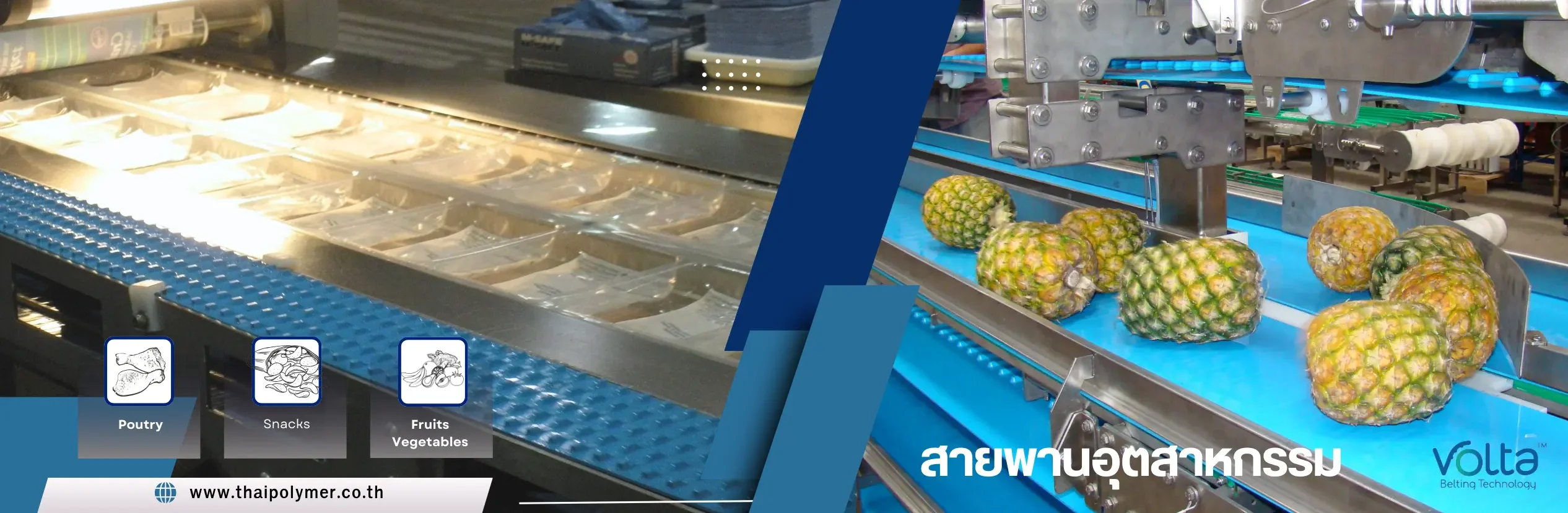 สายพานลำเลียง สายพานลำเลียง