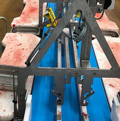 สายพานลำเลียง สายพานลำเลียง