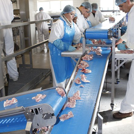 สายพานโวลต้า สายพานโวลต้า