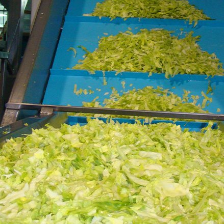 สายพานโวลต้า สายพานโวลต้า