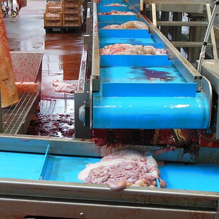 สายพานลำเลียง สายพานลำเลียง