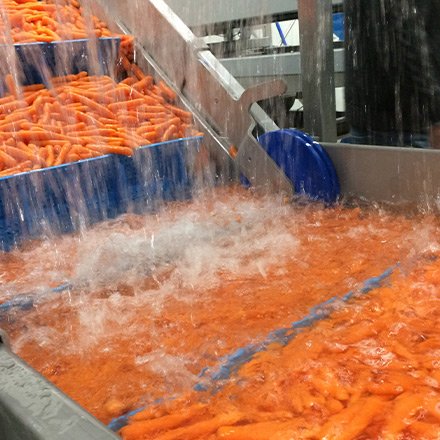 สายพานโวลต้า สายพานโวลต้า