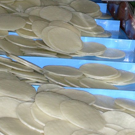 สายพานโวลต้า สายพานโวลต้า