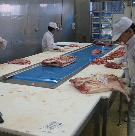 สายพานลำเลียง สายพานลำเลียง