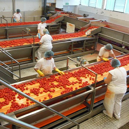 สายพานโวลต้า สายพานโวลต้า