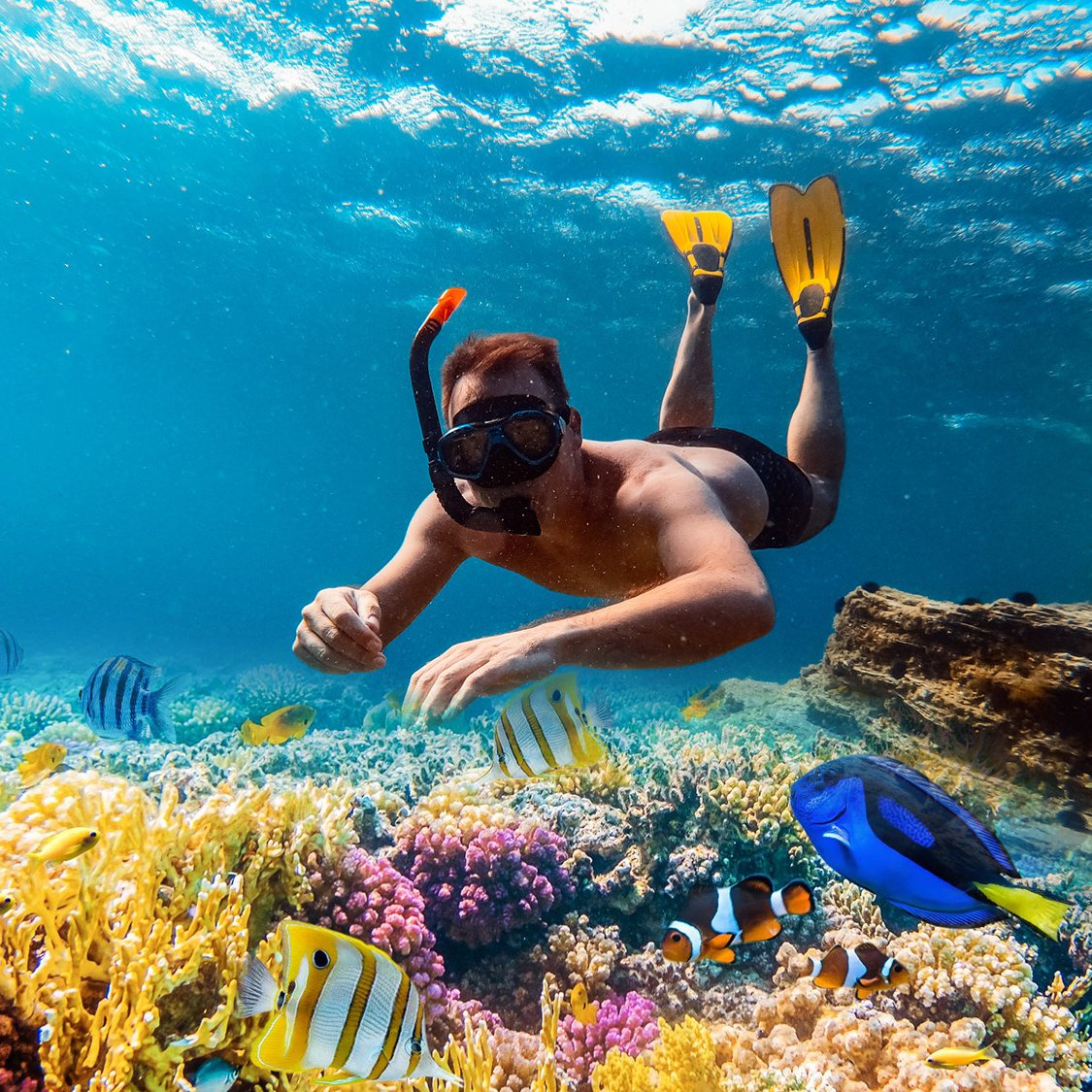 Thailand_Sea_Snorkel Thailand_Sea_Snorkel