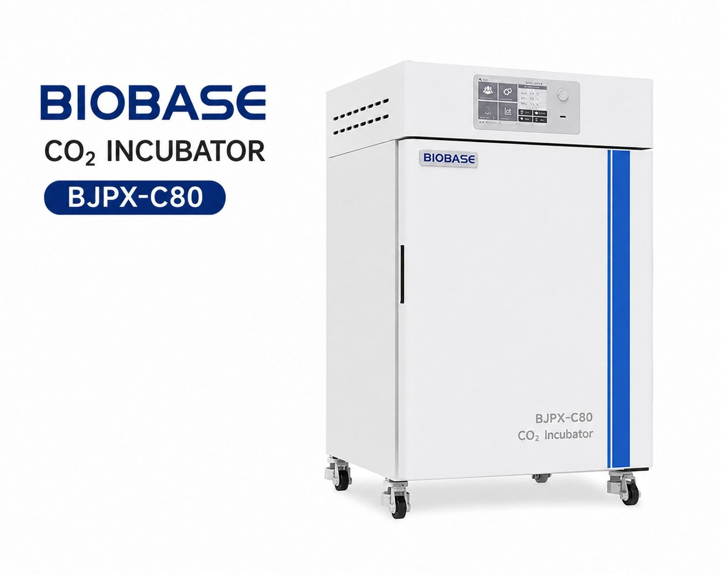 BIOBASE BJPX-C80 CO2 Incubator 80 ลิตร