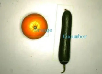 Machine System-21 Machine System-21