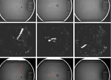 Machine System-24 Machine System-24