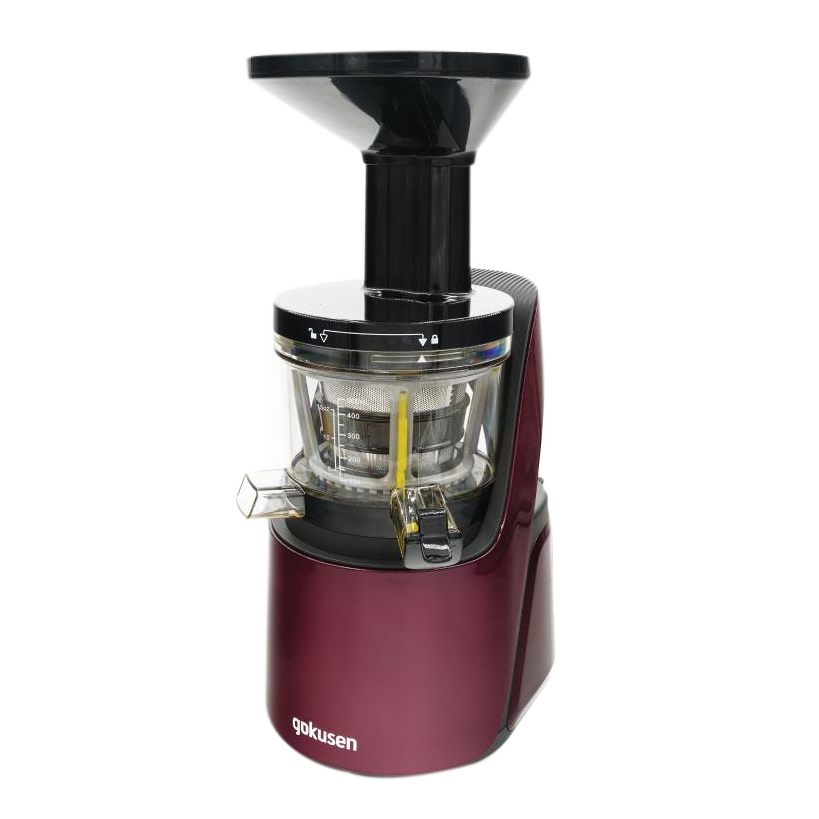 Juicer discount online shopping