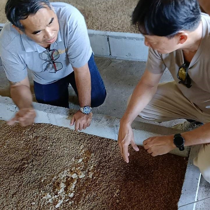 BSF FARM Black Soldier Fly Insect Farm (BSF)